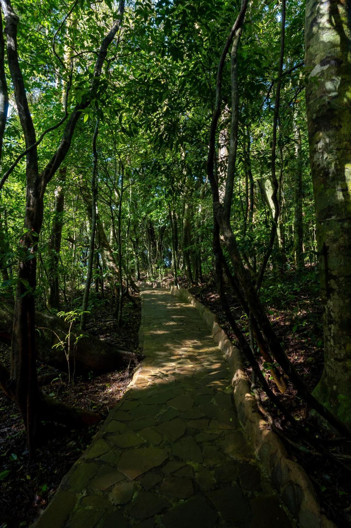 Koora A Cloud Forest By Sandglass Monteverde