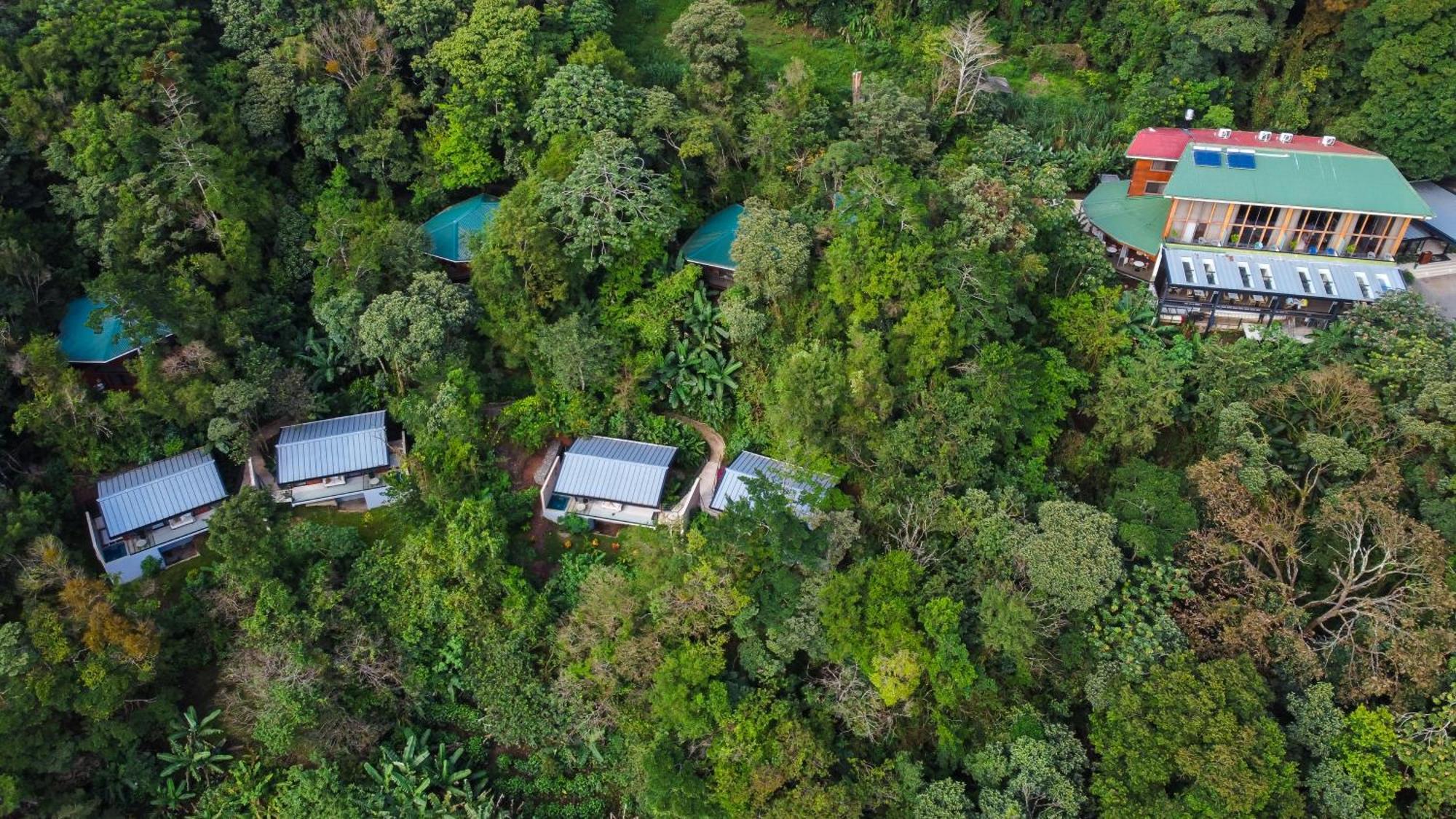 Koora A Cloud Forest By Sandglass Monteverde