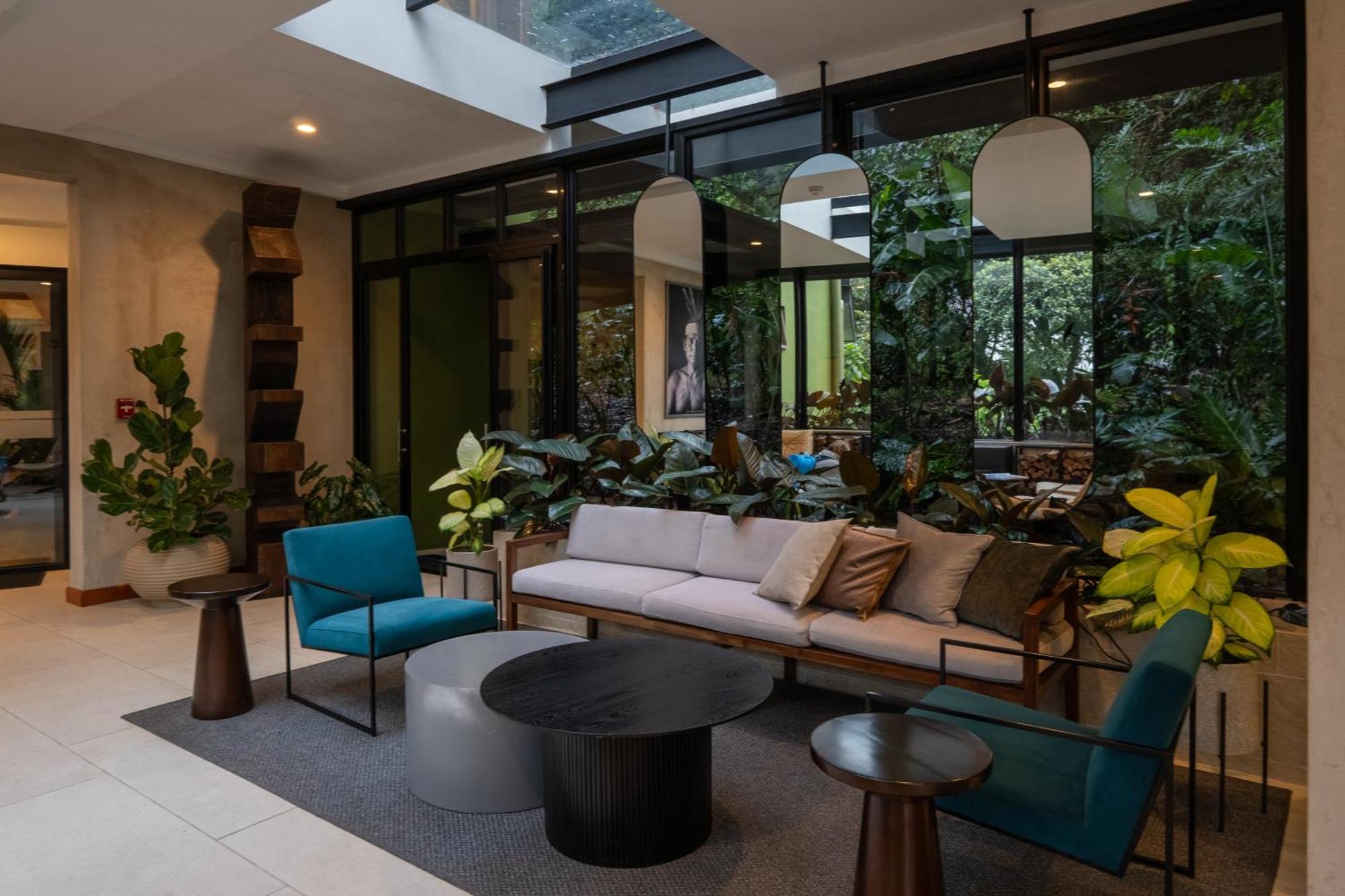 Koora A Cloud Forest By Sandglass