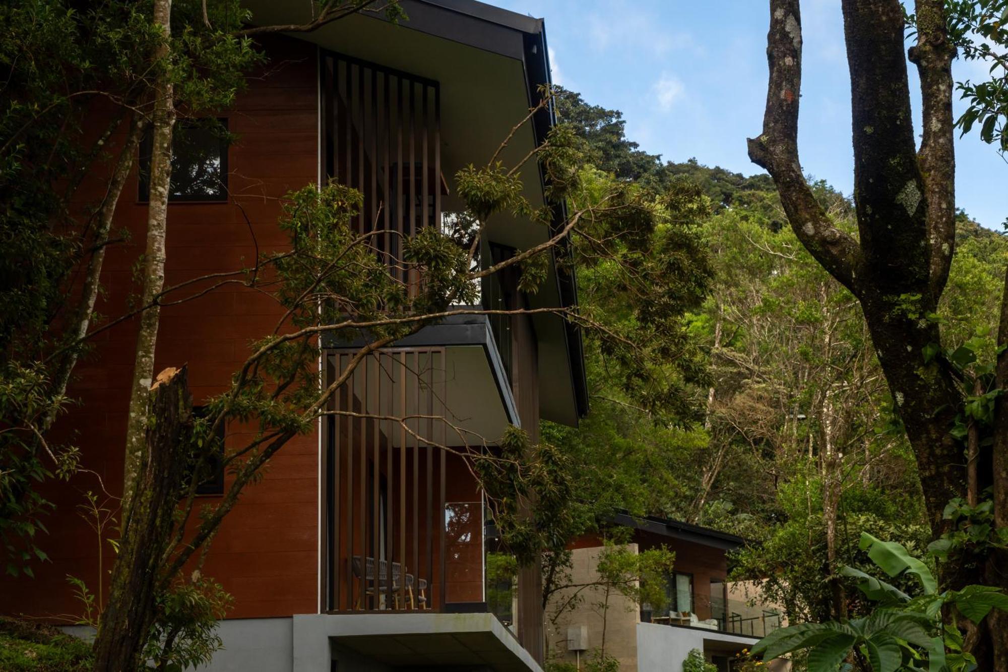 Koora A Cloud Forest By Sandglass Monteverde