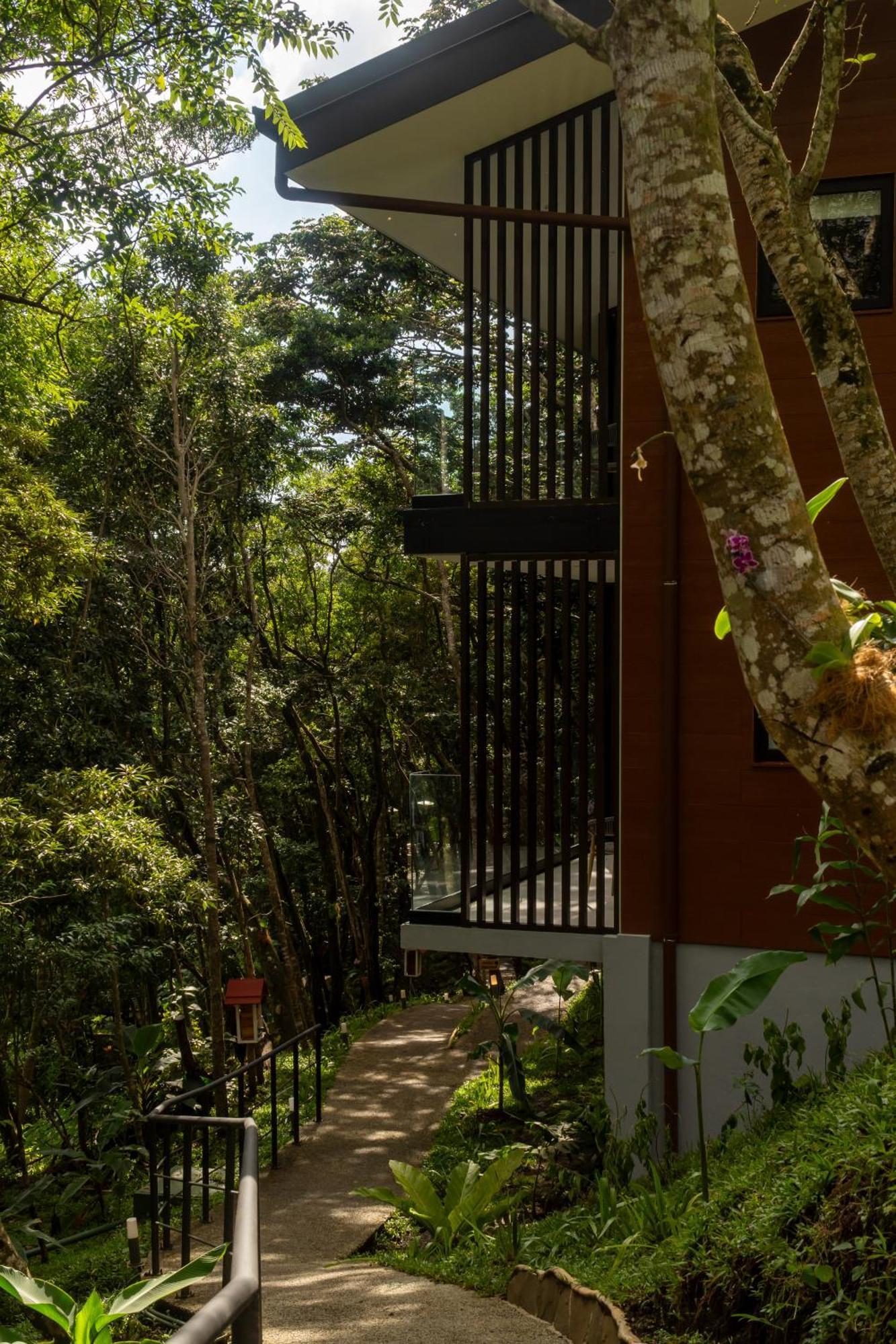 Koora A Cloud Forest By Sandglass